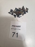 Photo showing a collection of approximately 27 shark teeth of various sizes and colors laid on a white background alongside a maxsold lot identification card.
