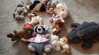 Overview of multiple assorted stuffed animals on carpet floor including a gray Gund raccoon plush in dress, brown moose plush, striped tiger, and others.
