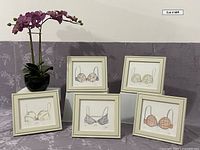 Five framed brassiere illustrations by Kolene E. Spicher arranged in a set against a purple backdrop with a purple faux orchid on the left.