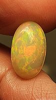 Close-up image of an oval cabochon cut natural Ethiopian opal held between fingers, showing vibrant multicolored flash of green, orange, and yellow hues on creamy base.