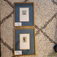 Two framed hand signed LVOTTO wall art pieces on carpet; each features a different colorful animal print with blue mats and checkered gold-black frames.