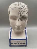 Front view of ceramic phrenology head showing intellectual region and individuality labeled on forehead with the base labeled 'THE HUMAN MIND'.