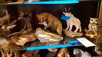 Several animal figurines displayed on a glass shelf including sheep, wolves, brown bear, Goebel ram marked with blue label, and owl figurine.