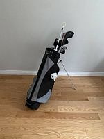 Full view of golf bag with clubs and white golf glove attached