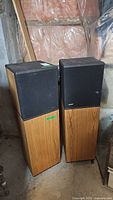 Pair of Bose tower speakers in basement setting