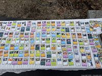 Wide shot displaying roughly 175 Pokémon cards arranged in rows on a white cloth outside on grass, showing a mix of Pokémon and trainer cards.