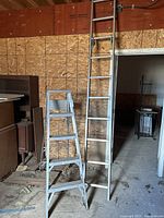 View of both ladders standing against a plywood wall in a garage, showing the 5-foot stepladder in front and the 10-foot extension ladder behind it.
