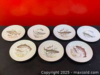 Seven dessert plates laid out, each with a different fish design and gold trim around edge