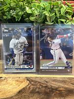Two Vladimir Guerrero Jr. baseball cards in protective sleeves on a wooden surface with greenery in the background.