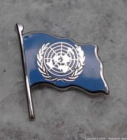 Front view of a vintage United Nations lapel pin in the shape of a flag with blue enamel and silver detail.