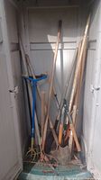 Wide shot of storage shed corner with all gardening tools incl. shovels, rake, weed puller, post hole digger, and pruning shears standing upright.