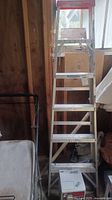 Photo of Werner aluminum ladder leaning against wall inside a wooden structure.