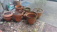 Photo shows multiple terracotta pots of varying sizes placed outdoors on stone and brick ground, some containing plants and soil.