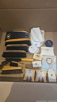 Full lot view showing multiple brushes, cloths, sponges, and shoe care items inside a box.