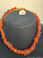 Front side view of polished amber bead choker necklace displayed on black bust stand, showing warm translucent honey colors.