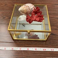 Square glass trinket box with brass frame on a wooden surface next to a measuring tape showing approximately 5.5 inches width. Inside are a red coral piece, a clear quartz crystal, and a white and pink seashell.