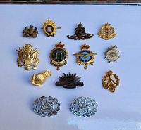 Overview of most pins laid out on white background showing various colors and insignias.
