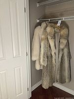 Both coats hanging on a closet rail, showing full-length fox coat and hip-length mink coat