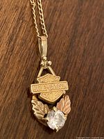 Full view of pendant and chain laid on wood background