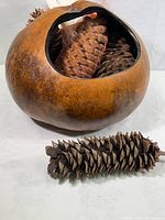 Side view of large round gourd vessel filled with pine cones, showing natural brown texture and black painted interior
