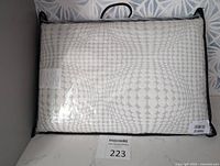 Queen sized BioSoy Pillow in plastic packaging with black trim and handle, showing the front geometric circular pattern and care label.