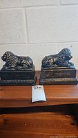 Front view of the pair of brass lion bookends on a wooden surface in front of a painted cinder block wall.