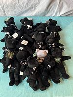 Full lot of 19 black and one white plush baseball beanie bears arranged on a light blue surface, showing front details and layout of the beanies.