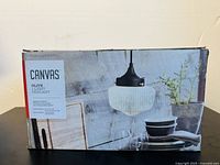 Box front showing Canvas Olive 1-Light Pendant with product image and label.