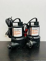 Two RIDGID 1/6 HP submersible utility pumps side by side showing front and label.