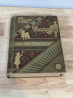 Front cover of the vintage book showing the title and decorative illustration with gold silhouettes of children and foliage.