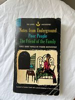 Front cover of the book showing title and author with illustration