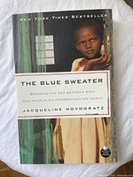 Front cover of The Blue Sweater book by Jacqueline Novogratz showing title and author's name