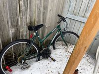 Green women’s Canadiana Pathfinder bicycle standing against a wooden fence outside.