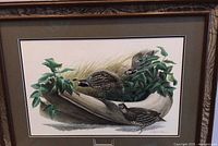 Framed California Quail print showing three birds with foliage and artist signature
