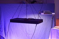 Mars Hydro indoor growing light hanging and turned on, emitting white spectrum light with blue background.