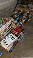 Stack of various paperback books in multiple piles on carpeted floor showing titles and wear.