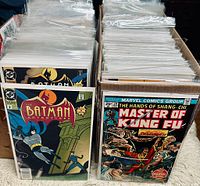 Two rows of bagged and boarded comics in cardboard boxes; foreground shows The Batman Adventures #2 and Master of Kung Fu #20.