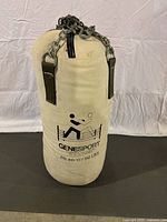 Front view of Genesport punching bag showing logo, weight, and canvas material.