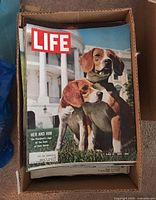 Box containing LIFE magazines topped by June 19, 1964 issue with two beagle dogs on cover in front of U.S. Capitol