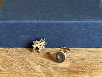 Both pin and ring displayed together on blue box