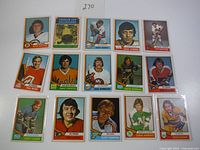 Fifteen 1974 O-Pee-Chee hockey cards arranged for display showing players and Stanley Cup Champions card with clear team logos and player portraits