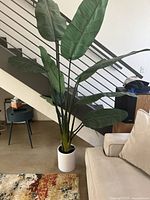 Tall indoor plant with multiple long green leaves in a white ceramic pot, placed indoors near staircase and furniture.