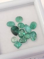 Loose emerald gemstones displayed in a white case with 11 stones of various cuts and shades of green.