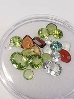 Multiple faceted gemstones including green peridot, clear quartz, reddish garnet, blue topaz, amethyst and moonstone displayed loosely in a clear round container.