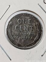 Full view of reverse side of 1943 steel wheat cent in holder
