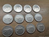 Twelve silver Canadian quarters arranged in rows showing the reverse side with howling wolf and centennial dates 1867-1967.