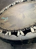 Close-up of the trampoline's coil springs, protective padding, and logo on the jumping mat.