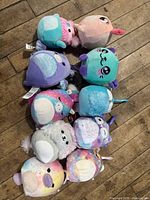 Group shot of all ten mini plush toys