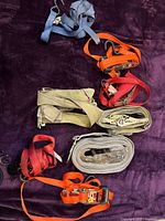 All eight ratchet tie-down straps coiled, showing colors, ratchets and hooks