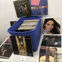 Dark blue plastic tub filled with assorted vinyl records and several album covers displayed around the tub.